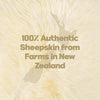 Brown Icelandic Sheepskin Rug Real Natural