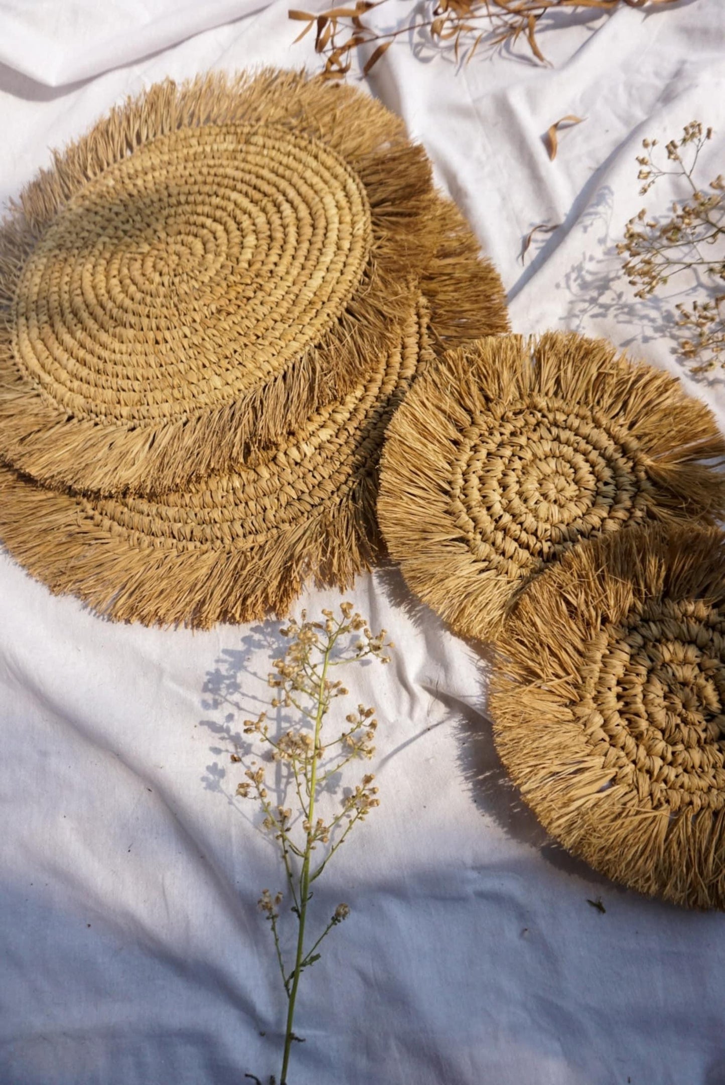 Wicker natural raffia round placemats