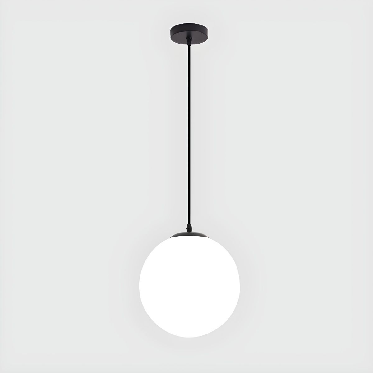 Globe Pendant Light Modern Black Ceiling Lamp