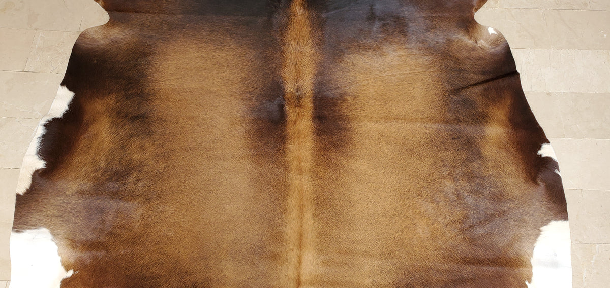 Extra Small Cowhide Rug Dark Tricolor Boho Living Room