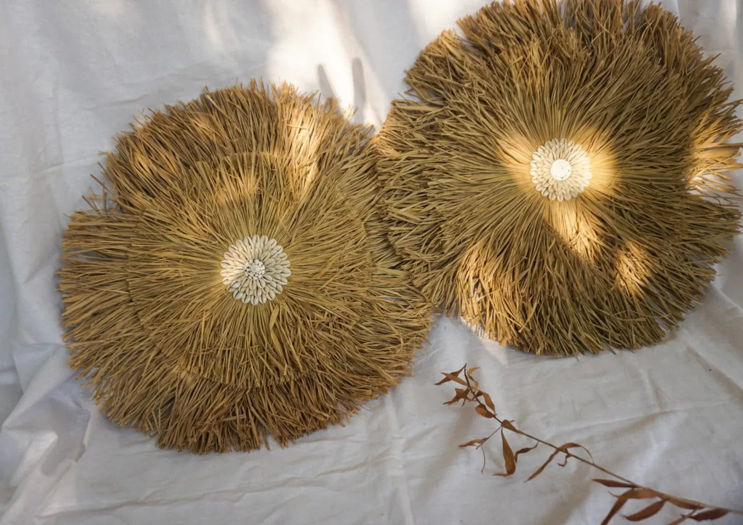 Natural Seagrass fringe round wall decor