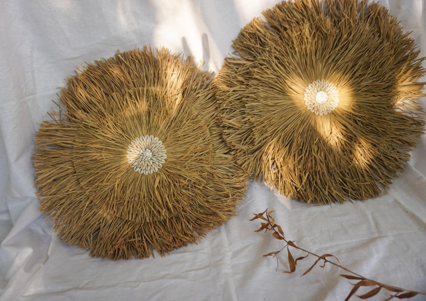 Natural Seagrass fringe round wall decor