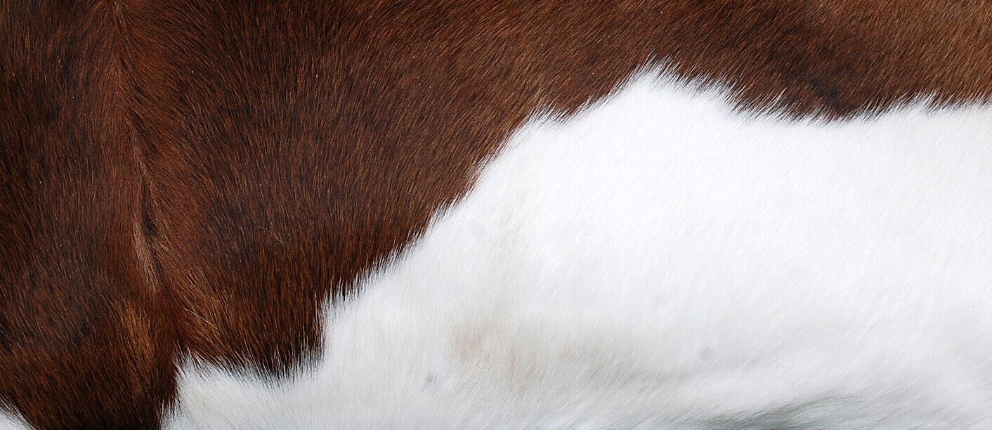 Exotic Brown White Cowhide Lumber Pillow