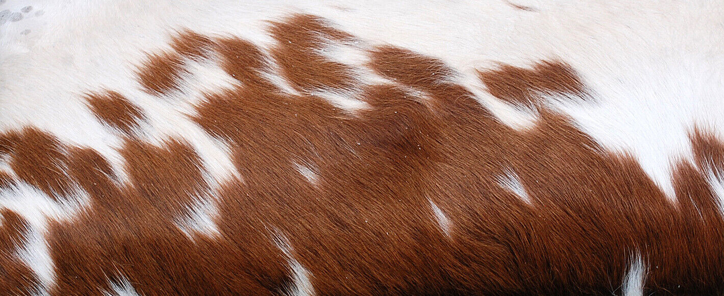 Brown White Cowhide Lumber Pillow Cover