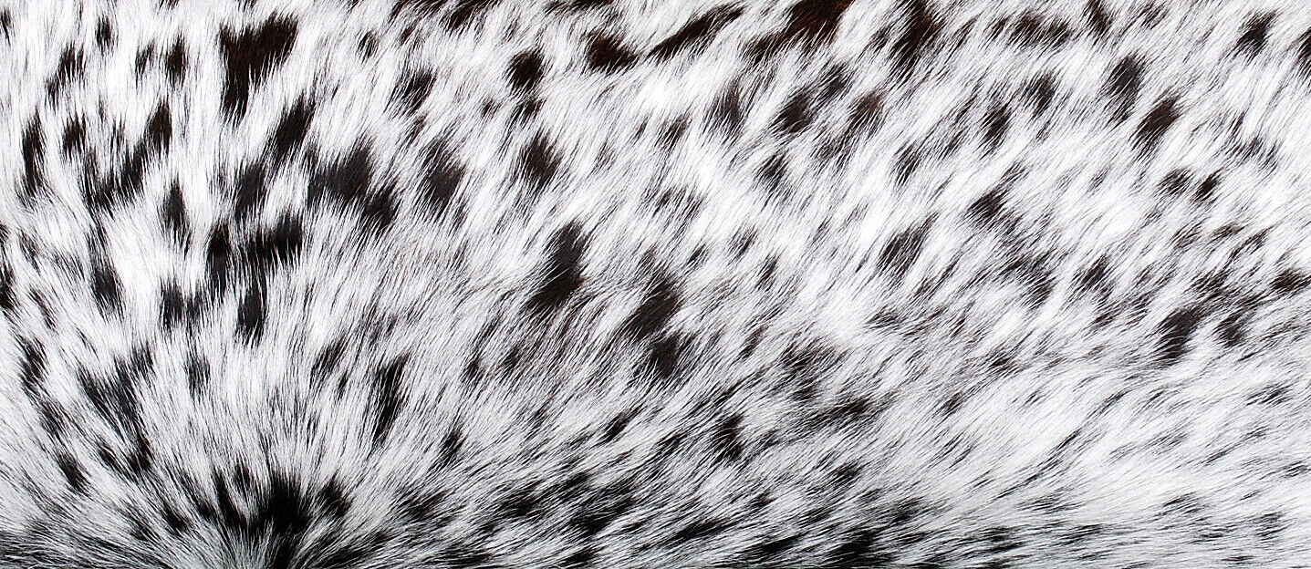 speckled black white cowhide lumber pillow