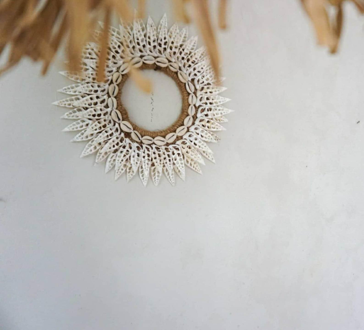 Seashell Wall Decor Boho Hanging for Coastal Beach House Style