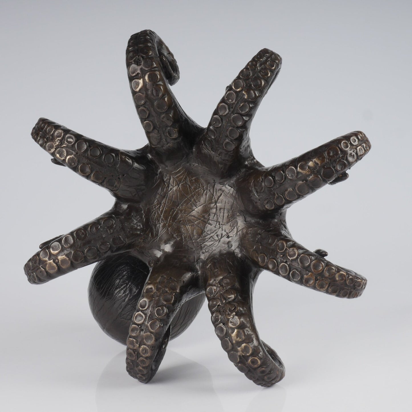 The bronze octopus hand casted brass marine art statue.
