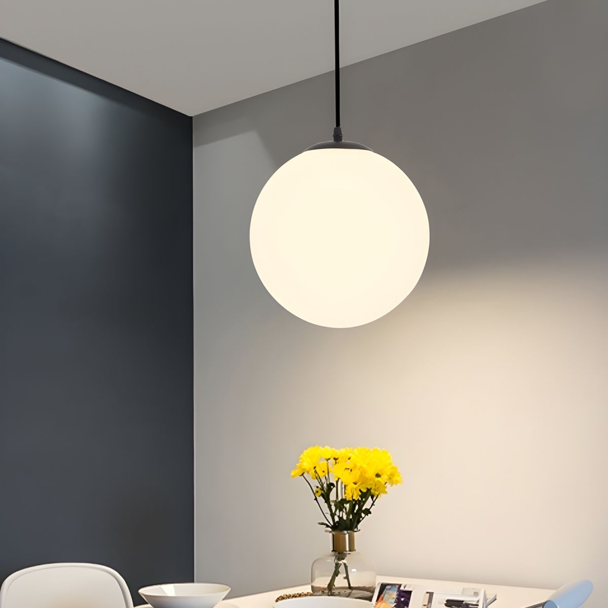 Globe Pendant Light Modern Black Ceiling Lamp