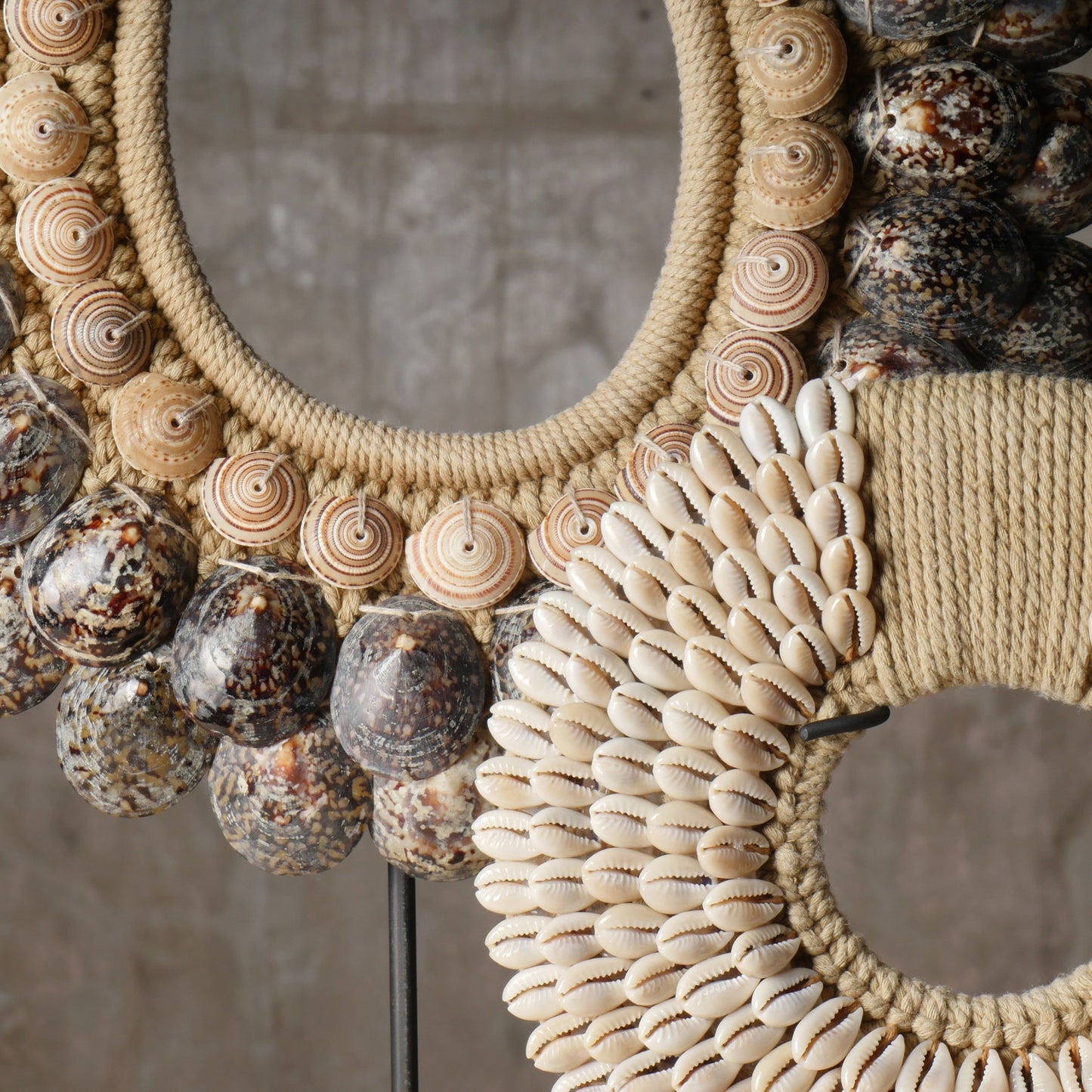Patella papua necklace cowrie shell tribal