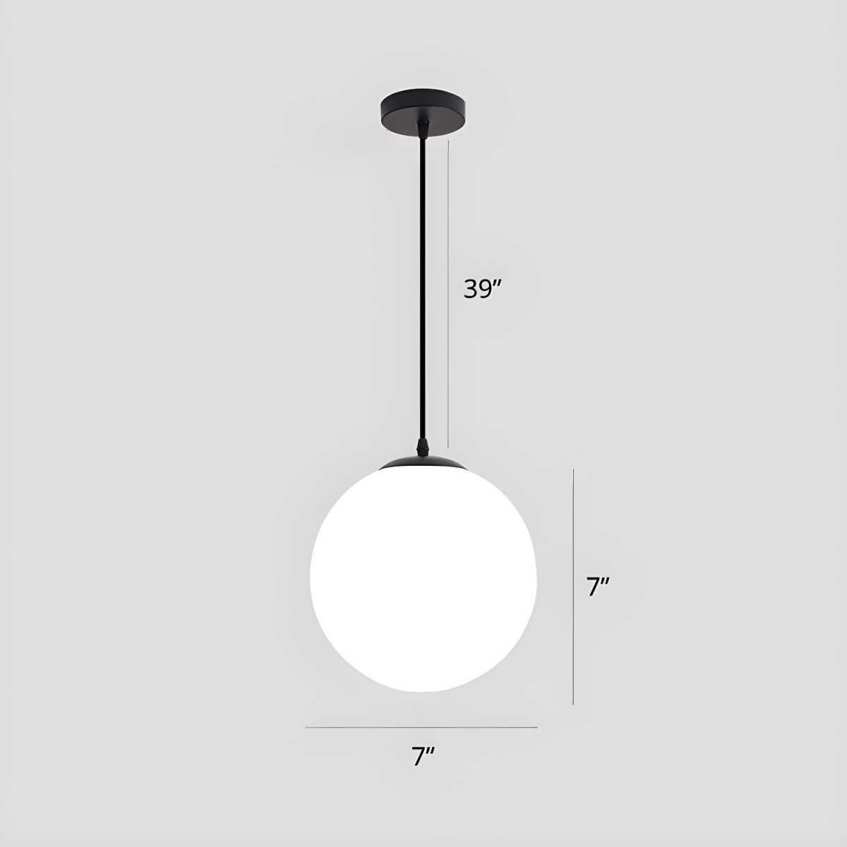 Globe Pendant Light Modern Black Ceiling Lamp