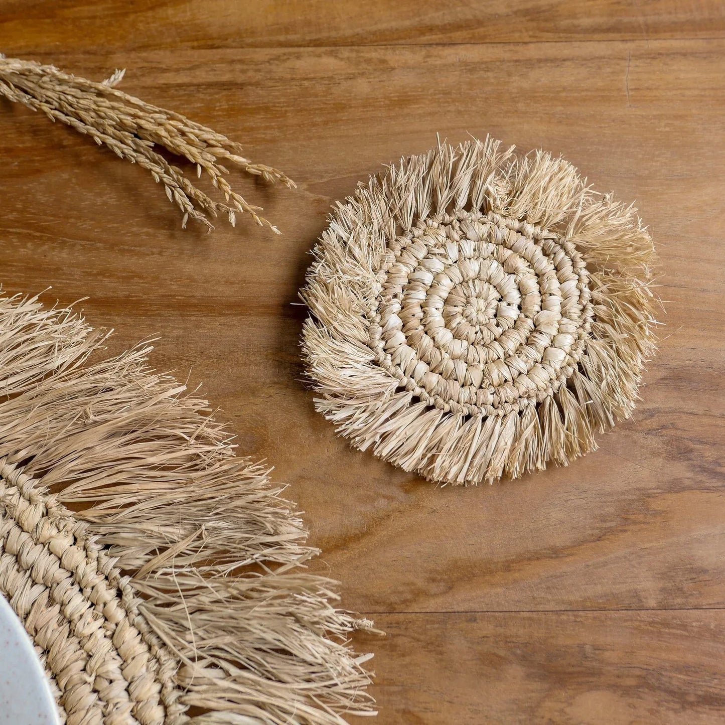 Handcrafted Raffia Straw Fringed Placemats