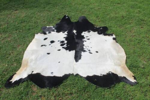 Achieve visual harmony in your home with a sophisticated black and white cowhide rug, designed to complement any color scheme.