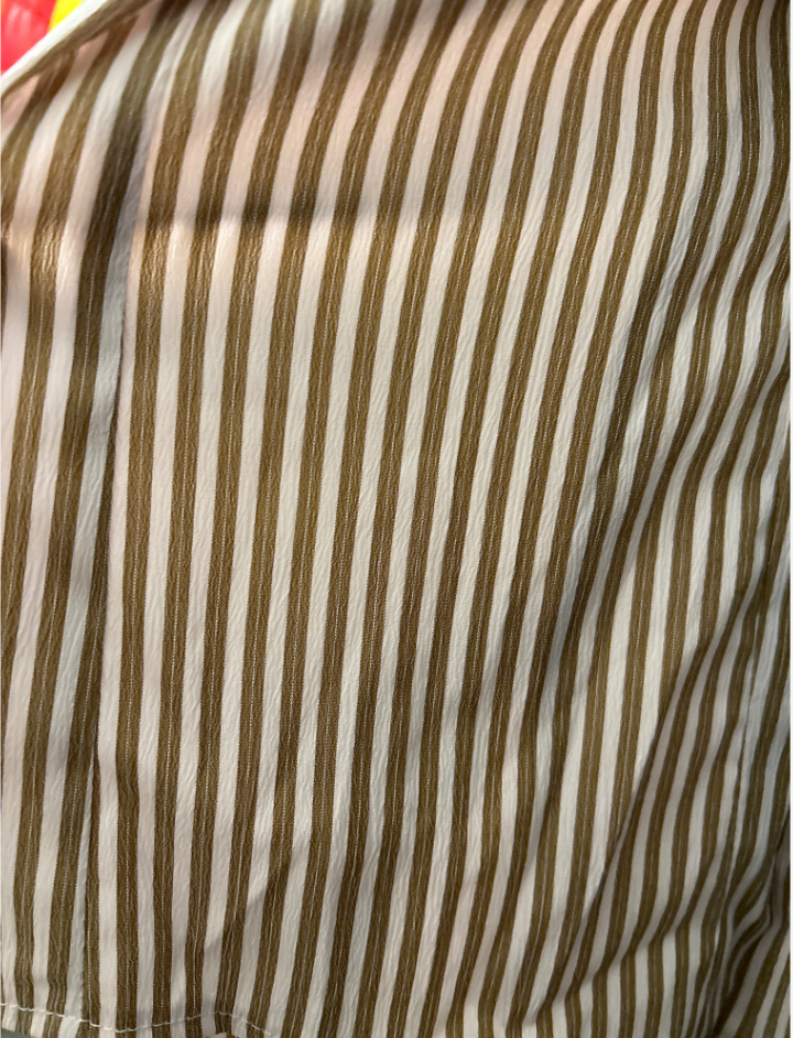 Beige Brown Women's Striped Button Down Shirt
