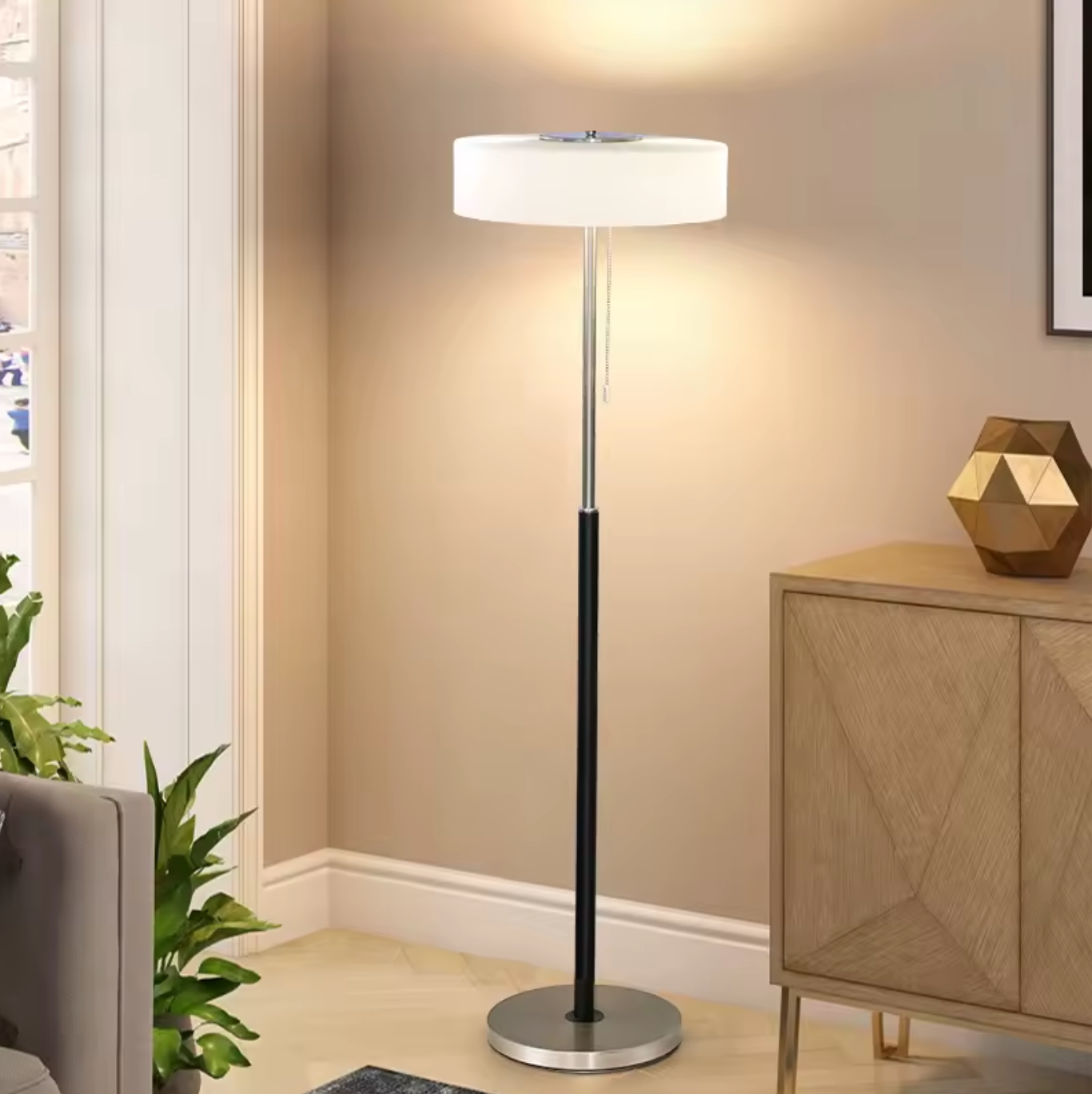 Modern Black Frosted Glass Floor Lamp with Pull Chain