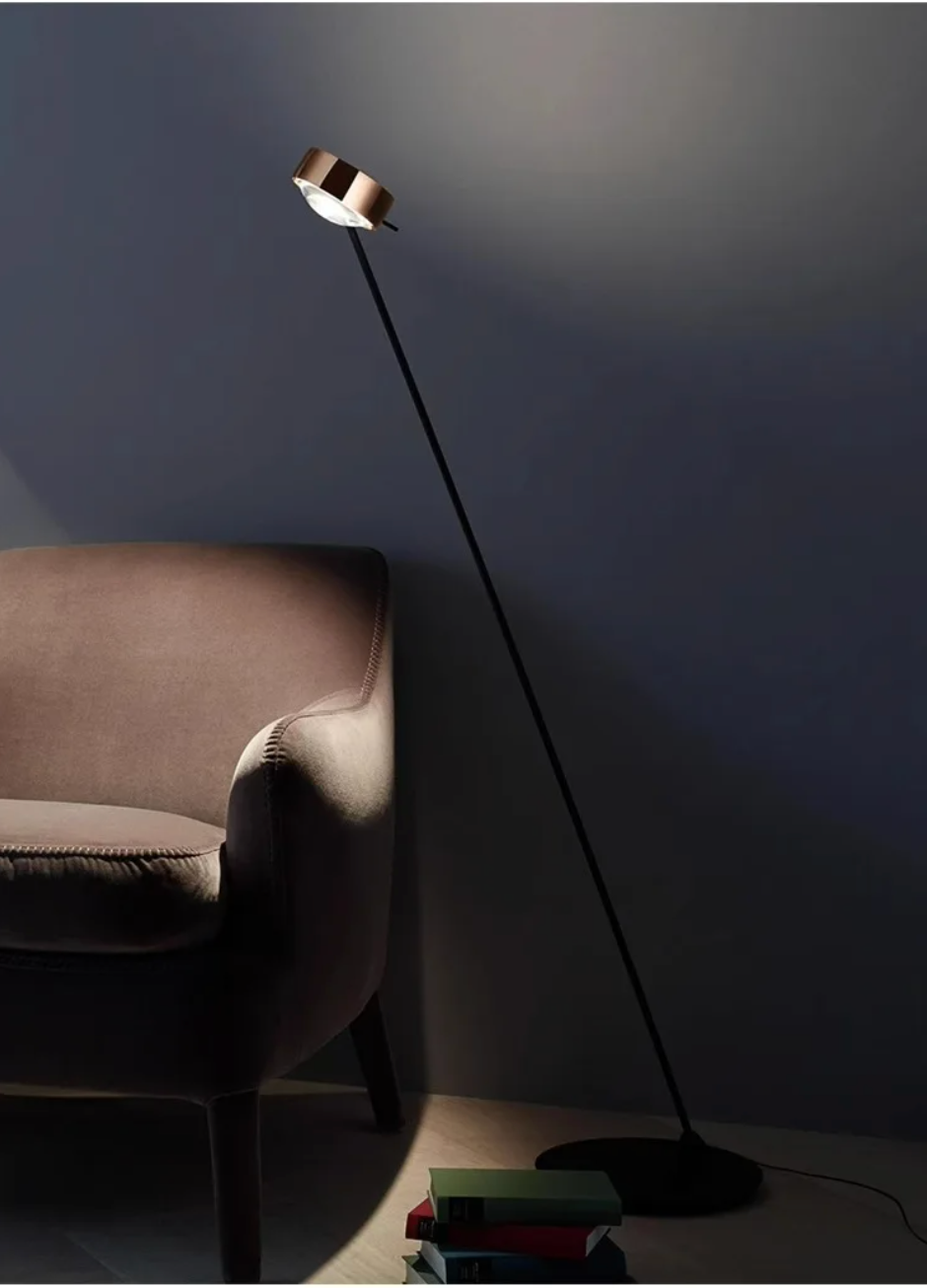 Modern Minimalist Floor Lamp with Adjustable Head Reading Light
