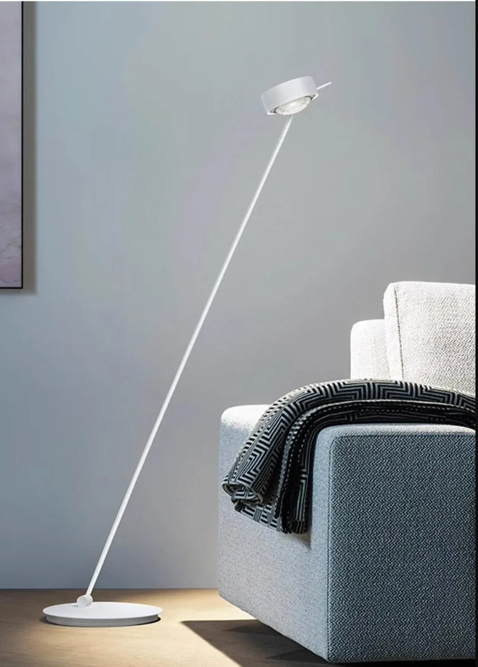 Modern Minimalist Floor Lamp with Adjustable Head Reading Light