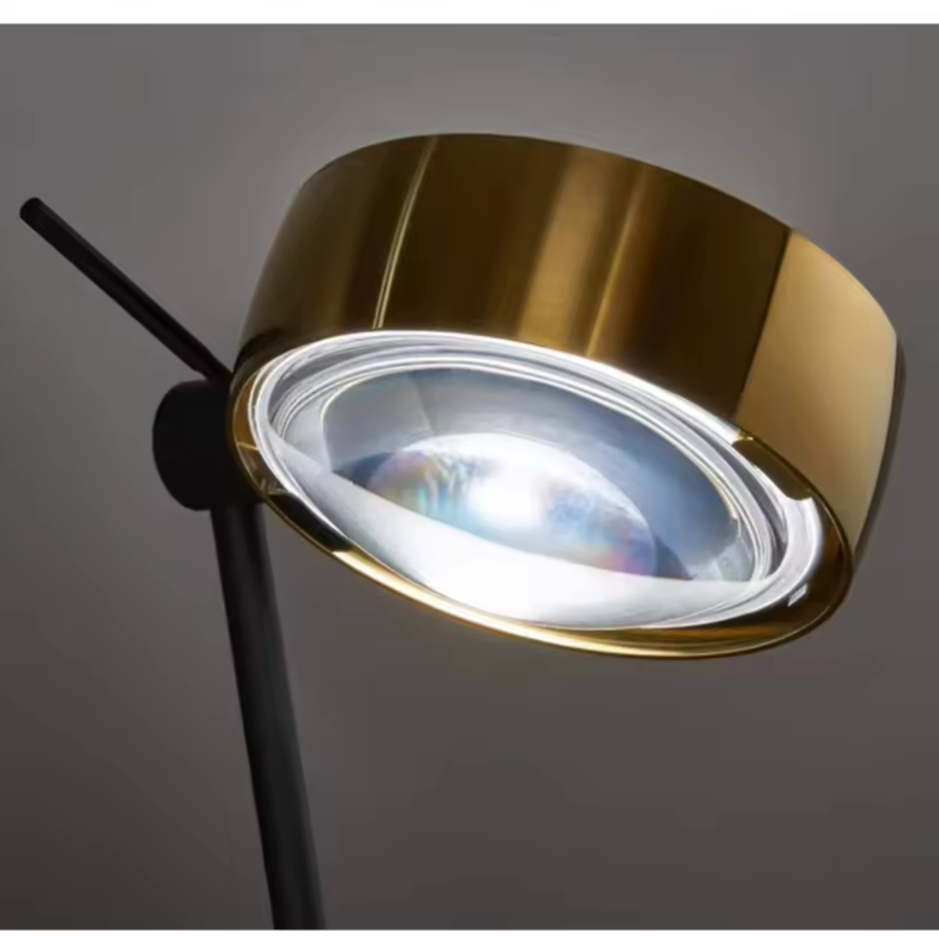 Modern Minimalist Floor Lamp with Adjustable Head Reading Light