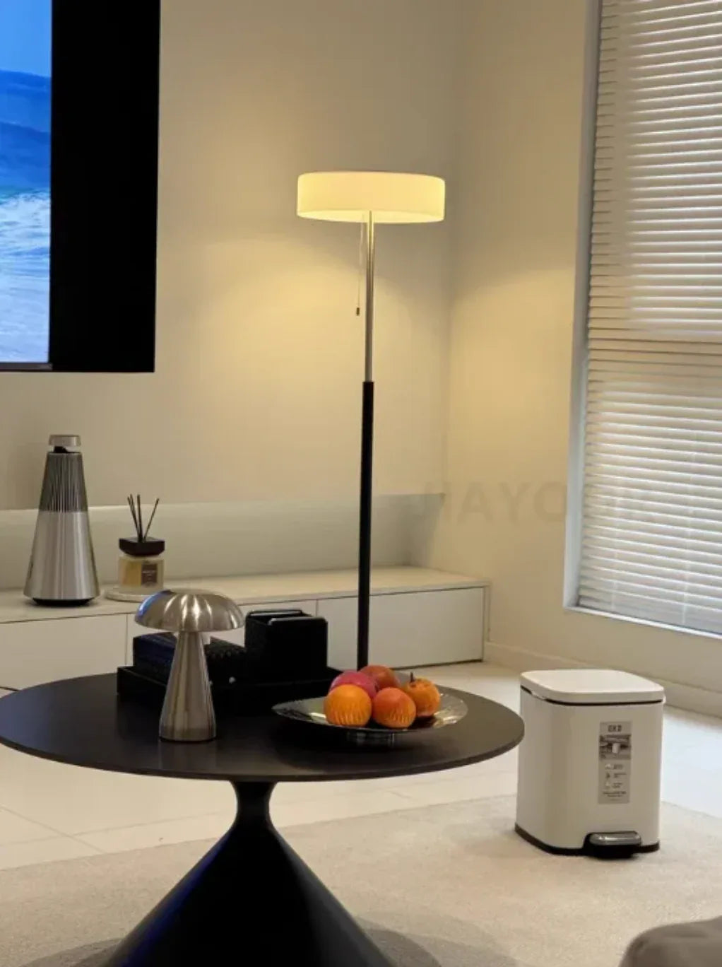 Modern Black Frosted Glass Floor Lamp with Pull Chain