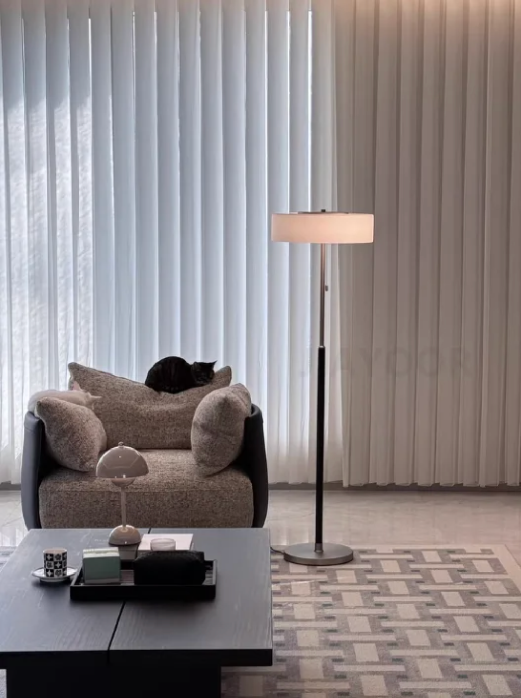 Modern Black Frosted Glass Floor Lamp with Pull Chain