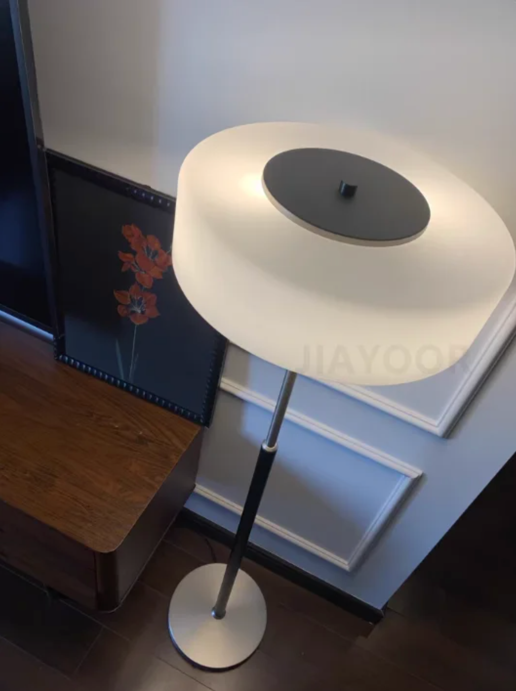 Modern Black Frosted Glass Floor Lamp with Pull Chain