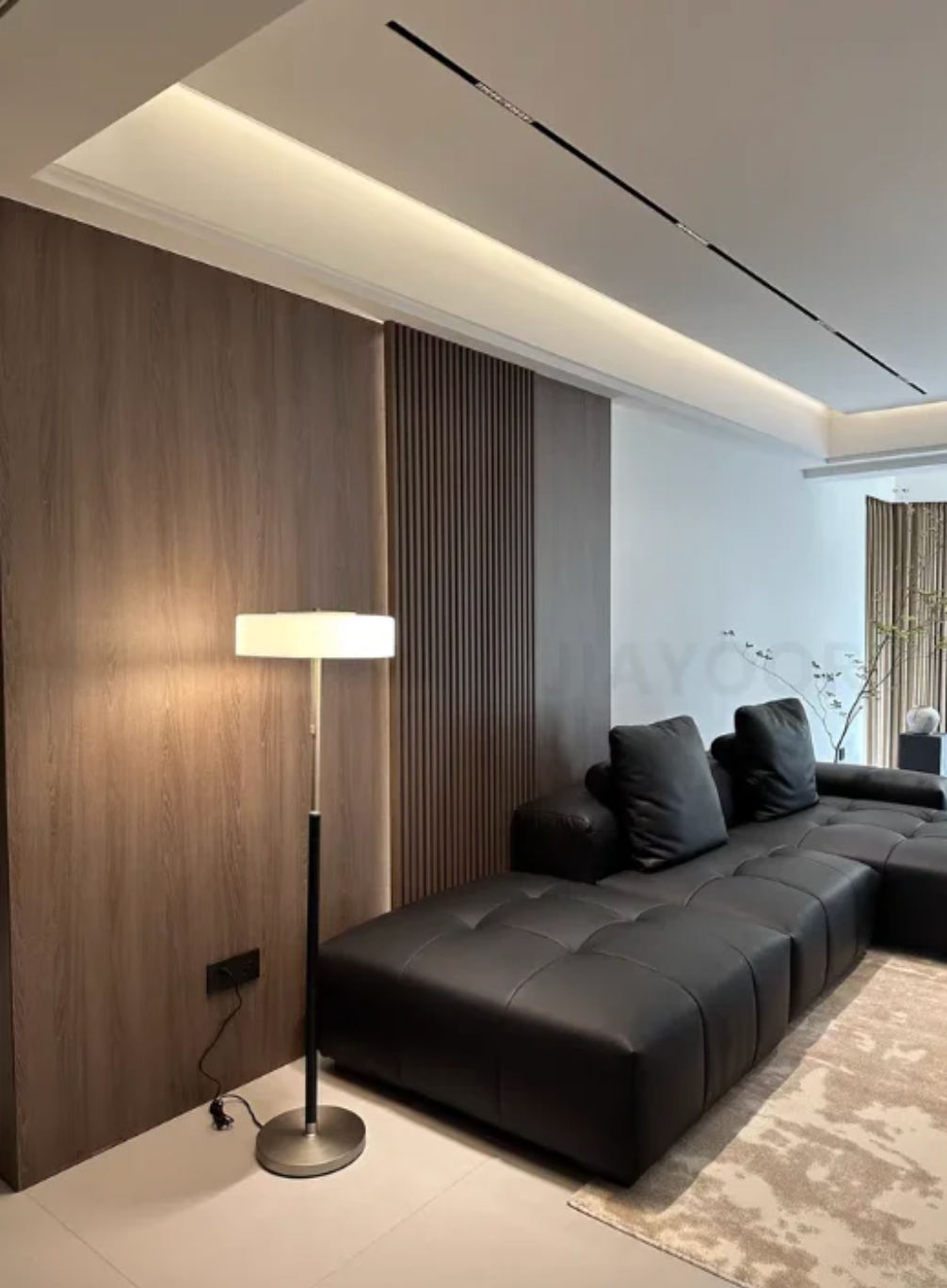 Modern Black Frosted Glass Floor Lamp with Pull Chain