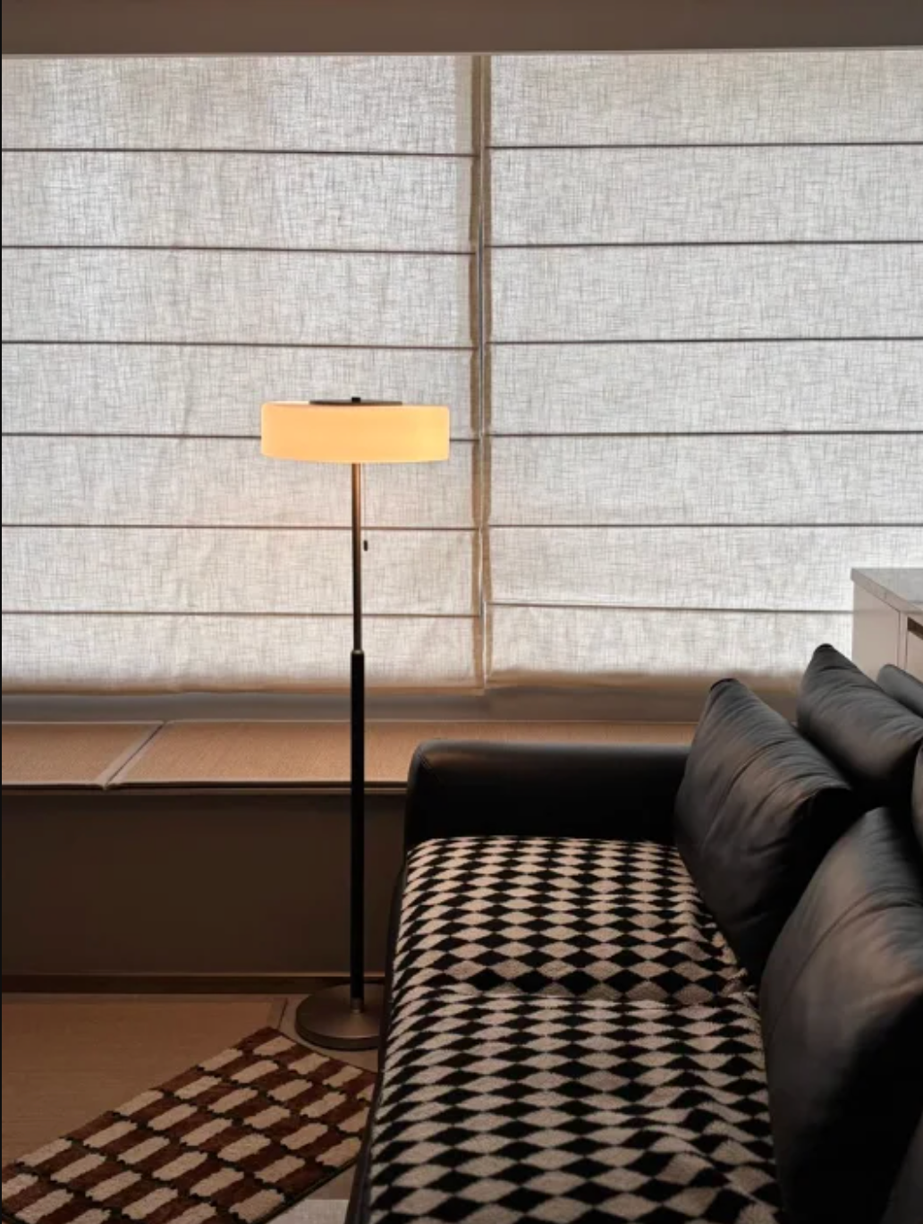 Modern Black Frosted Glass Floor Lamp with Pull Chain
