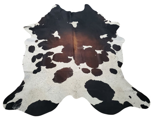 This dark brown white Brazilian cowhide rug will turn out to be more perfect than you think for living room, it's huge, natural and real free shipping USA