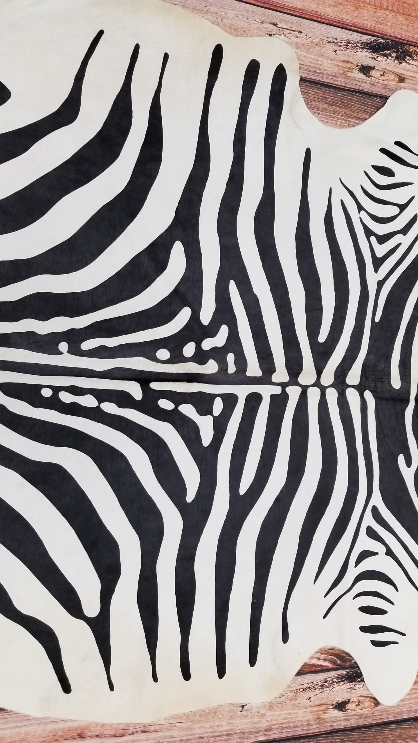 zebra cowhide rug Brazilian Hair On Cow Hide 88 by 72 inches 1517
