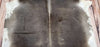 Large Brazilian Tri Color Cowhide Rug 7ft x 6.5ft