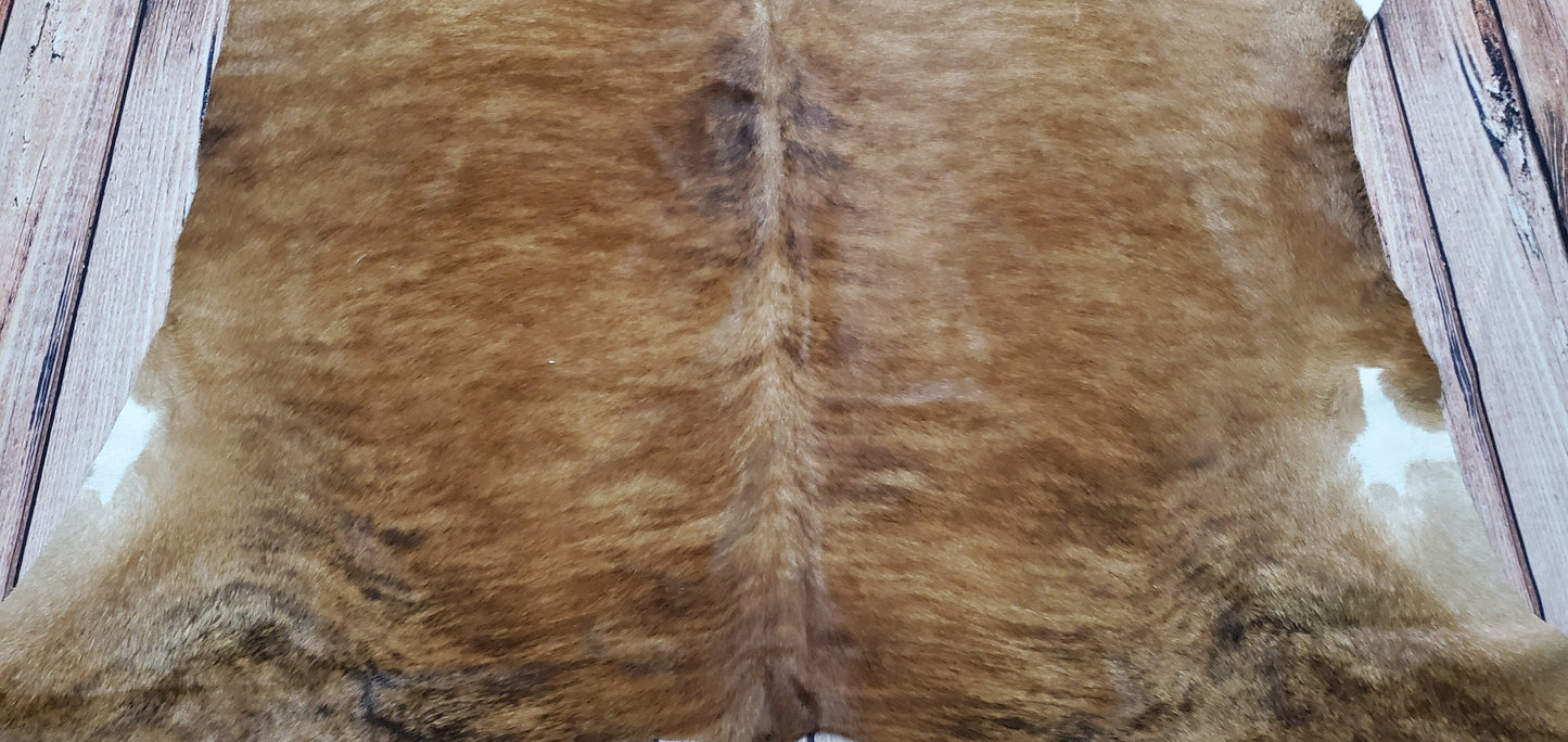 Brindle Cowhide Rug Honey Brown 6.5ft x 6.2ft
