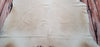 Beige Champagne Cowhide Rug 6.6ft x 6.4ft