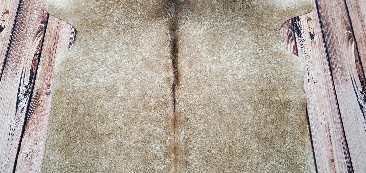 Light Champagne Brown Cowhide Rug 7ft X 5.3ft