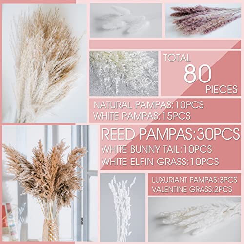 86PCS Natural Dried Pampas Grass Bouquet