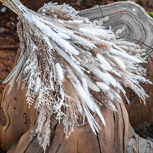 86PCS Natural Dried Pampas Grass Bouquet