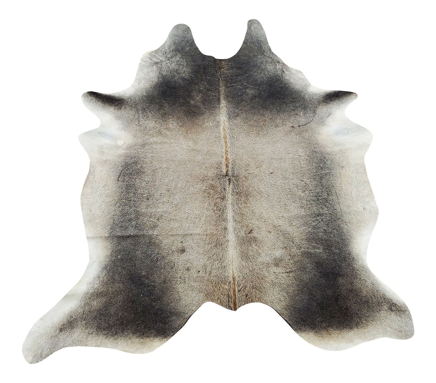 A grey cowhide rug Brazilian in a ranch living room plays a major part in the design of a space, soft, smooth and there is no need for anything underneath.