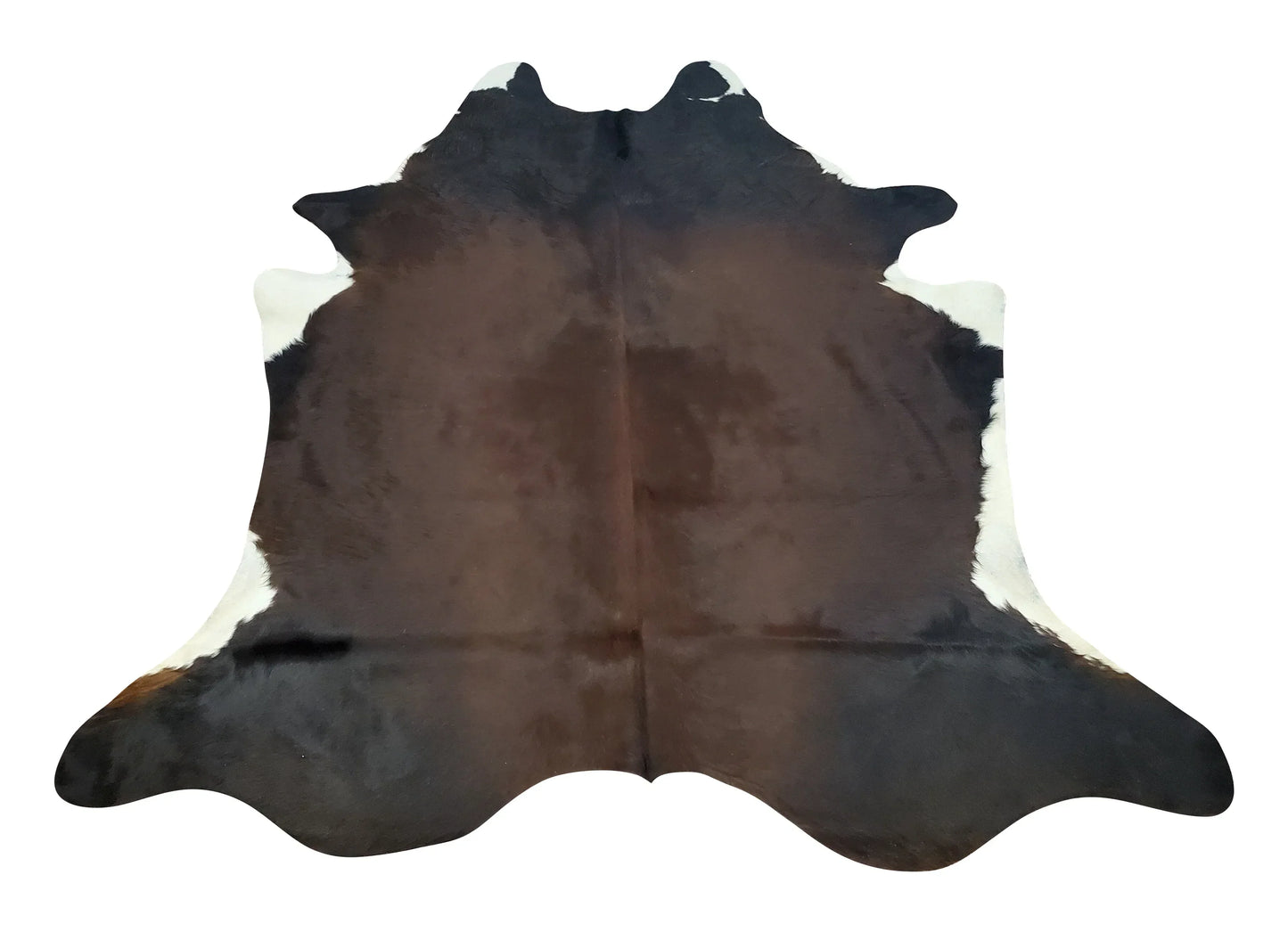 Chocolate Cowhide Rug Brazilian 7.2ft x 6.5ft
