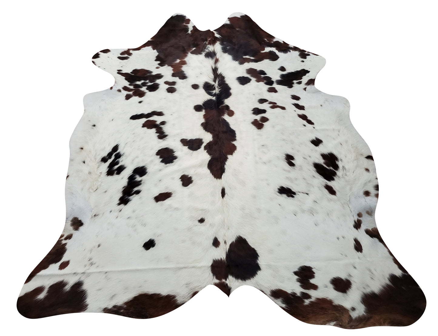 This large cowhide rug is more striking and vibrant in person, it is shipped fast all over the USA and very quickly and pets loves hanging out on it.