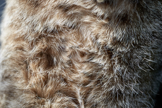brown and black fur textile