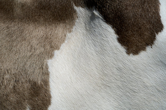a close up of a dog's fur