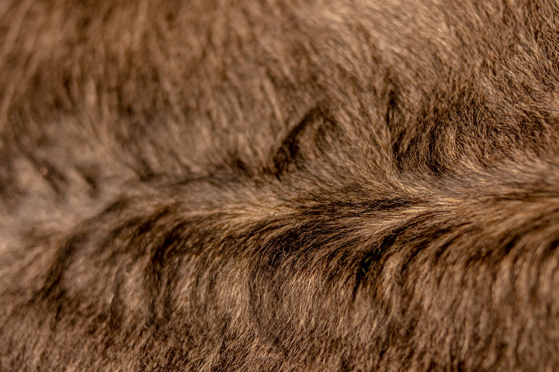 a close up of the fur of a cat