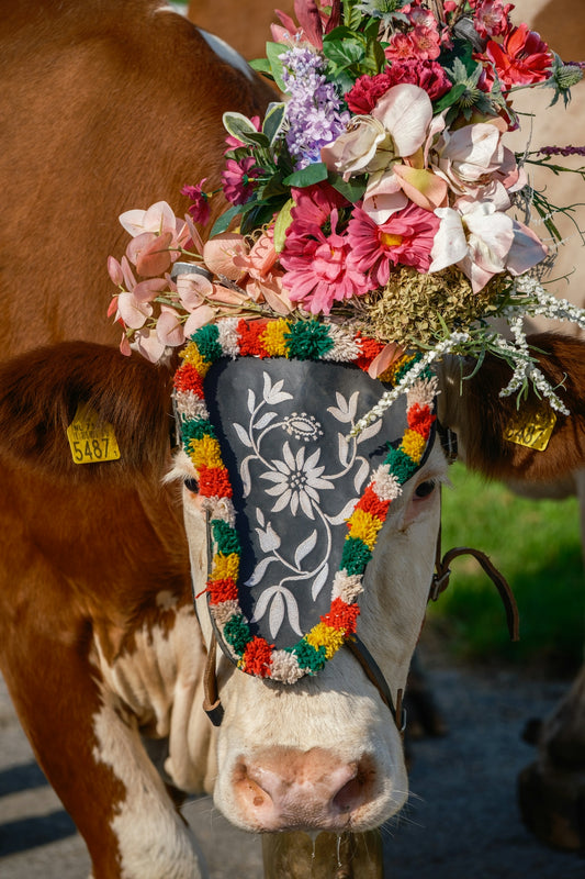 a cow with a flower crown on its head