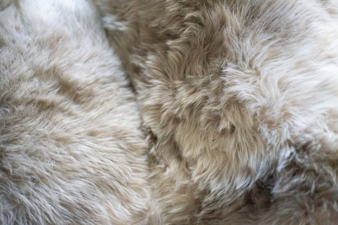 a close up of the fur of a sheep