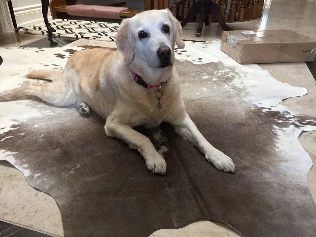 Brazilian Cowhide Rugs - Boho Living Room