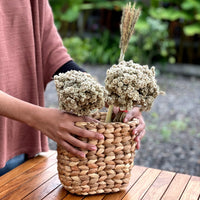 Dried water hyacinth wicker flower pot basket