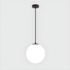 Globe Pendant Light Modern Black Ceiling Lamp