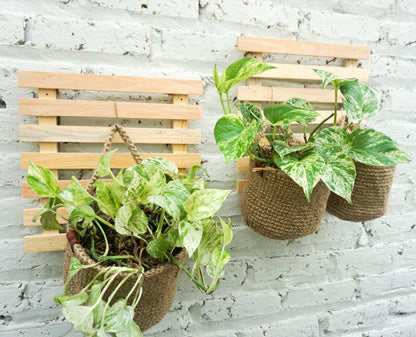 Jute Indoor Planter Hanging Basket