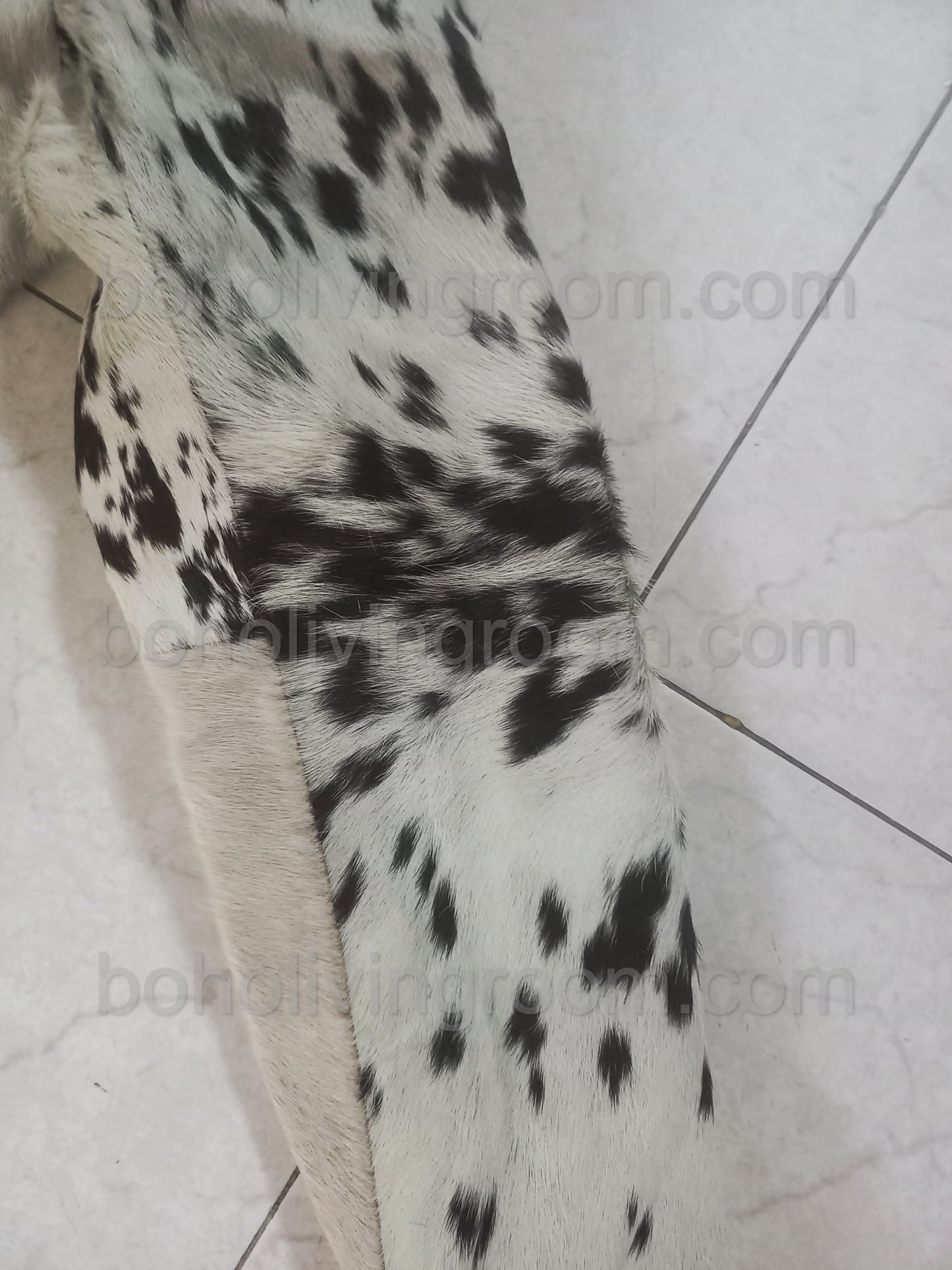 Cow jacket made with real hide and distinctive fur pattern. Features gold zipper, button pockets, and soft lining — ideal for cowboy and cowgirl outfit styling.

