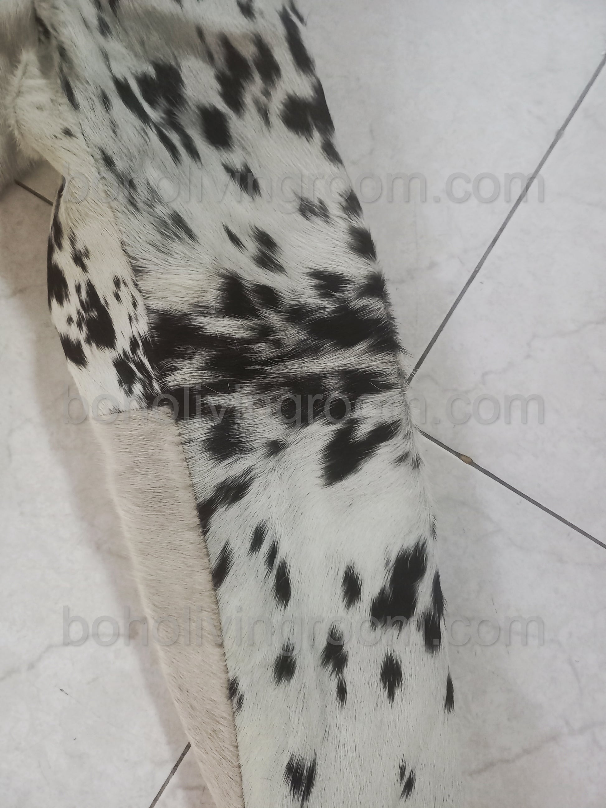 Cow jacket made with real hide and distinctive fur pattern. Features gold zipper, button pockets, and soft lining — ideal for cowboy and cowgirl outfit styling.


