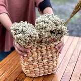 Dried water hyacinth wicker flower pot basket