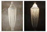 The Nassa shells pendant light chandelier